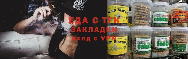 индика Куйбышев