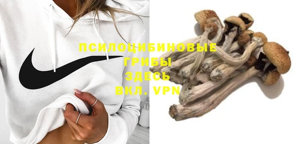 герыч Ладушкин