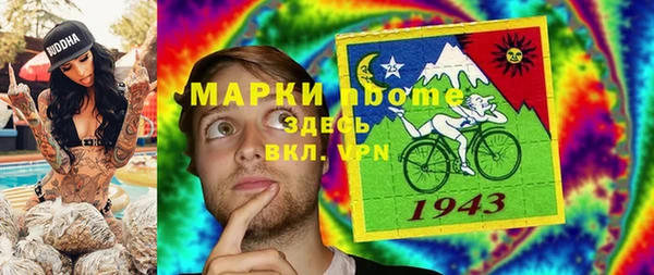 индика Куйбышев