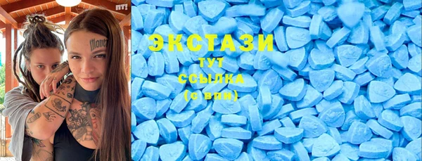 ECSTASY Лагань