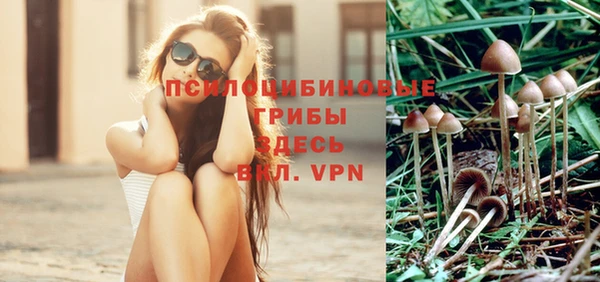 скорость Краснослободск