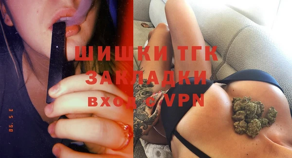 ECSTASY Лагань