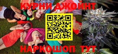 крисы Гай
