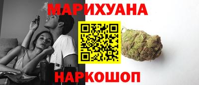 a pvp Гатчина