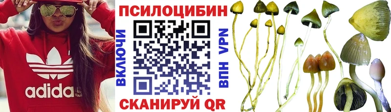 Псилоцибиновые грибы мухоморы  купить наркотик  Похвистнево 