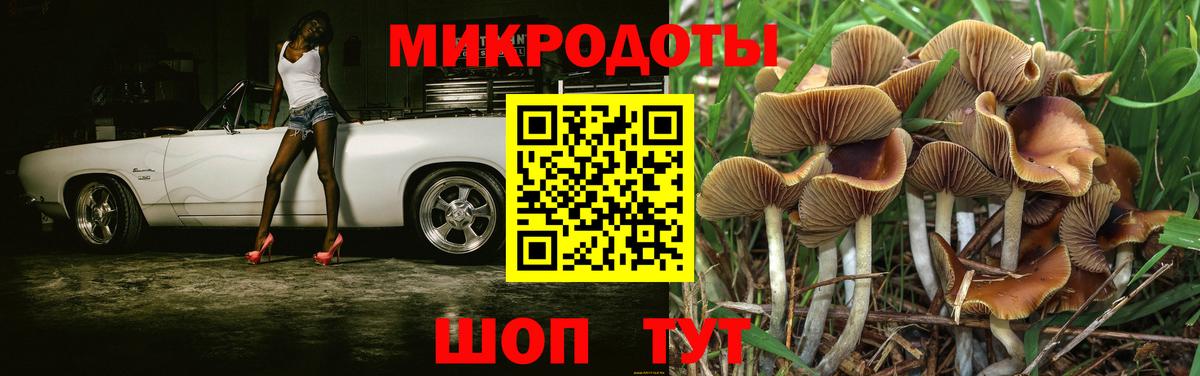 Галлюциногенные грибы GOLDEN TEACHER Похвистнево